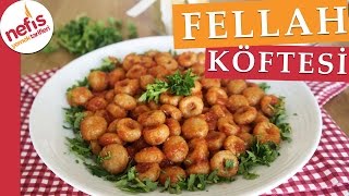 Fellah Köftesi Tarifi  Bulgur Köftesi  Nefis Yemek Tarifleri [upl. by Angelle]