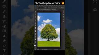 how to remove tree background in photoshop photoshop shorts tutorial [upl. by Niwdog]