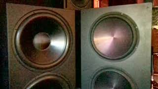 JTR Speakers Captivator 4000 ULF vs Rythmik FV25HP driver excursion 1 [upl. by Jehius]