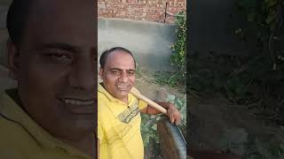 Aaj Sabjiyo Ke Liye Laaye Desi Khad minivlogs desiminivlogs villagelife palfamilyvlogs [upl. by Etteve331]