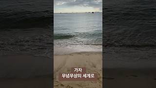 서해 바다 묵직히 밀려오는 물결이 데려다 줄 것이다 무념무상의 세계로 [upl. by Hermosa565]