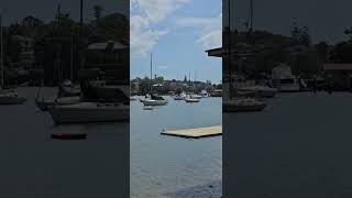 aumsworldlytravels Lane Cove River views greatersydney boats australia travel [upl. by Rabjohn]