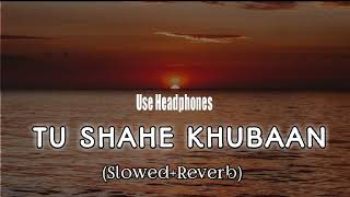 Tu Shahe KhubaanSlowedReverb [upl. by Enelime833]