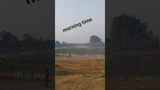 Morning time views shortvideo ytshorts nature only Bapi [upl. by Nnarual]