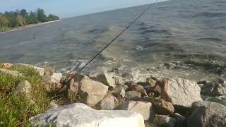 Port mancing ikan sembilang di Pantai Remis Kuala Selangor [upl. by Remark]