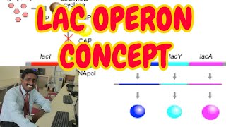 LAC OPERON concept  TAMIL ELABORATE EXPLANATION [upl. by Aehsat186]