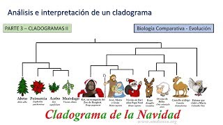 Cladogramas II  BiologiaXXI [upl. by Luemas]