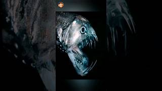 Viperfish in deep sea 😮 short viperfish [upl. by Ahsenak]