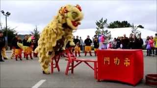 美國柔功門國術龍獅總會 Yau Kung Moon USA Lion DanceChing Ming Festival [upl. by Atinot]