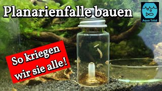 Planarienfalle selber bauen  DIY Projekt zur Bekämpfung von Planarien im Aquarium [upl. by Laeynad209]