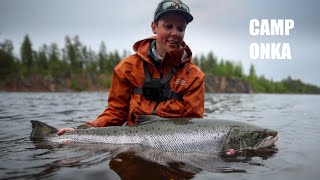 Catching my first salmon and it’s a giant  Fly Fishing Baltic Salmon [upl. by Hameerak]