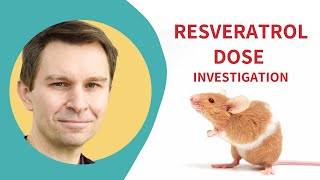 How RESVERATROL affects your heart  Low Dose Resveratrol Study [upl. by Drahcir370]