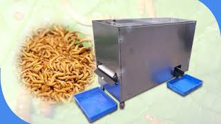 Mealworm amp Tenebrio Molitor SeparatorSorting Machine  Commercial Mealworm Insects Sifter Machine [upl. by Bergmann]