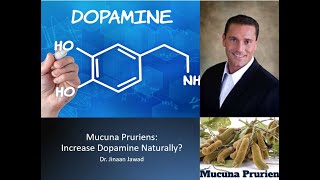 Mucuna Pruriens Does It Increase Dopamine Naturally [upl. by Wilma]