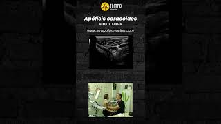 Apofisis coracoides y ecografia con Alberto García ecografia fisioterapia tempoformacion [upl. by Akinohs]