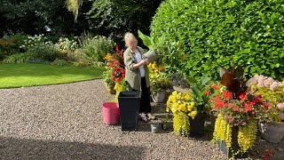 Planting Autumn containers  Refreshing house entrance for Autumn  Hot Border tour [upl. by Nodanrb]