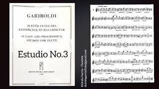 Gariboldi No3  30 Easy and progressive studies for flute [upl. by Cirde]