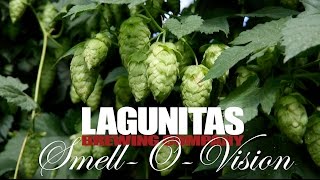 Lagunitas  SmellOVision Born Yesterday Fresh Hop Pale Ale [upl. by Elcin]