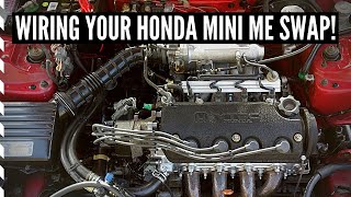 How To Wire VTEC for Honda Mini Me Swap using P28 ECU [upl. by Tezzil]