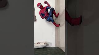 SpiderMan climbing the wall  SpiderMan in real life shorts [upl. by Vaclav404]