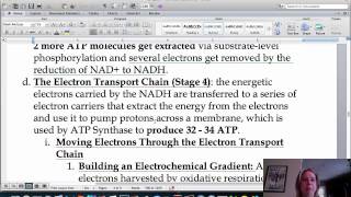 BIO 111 Cell Respiration Part III [upl. by Adnema]