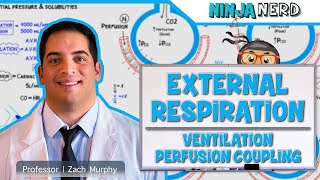 Respiratory  External Respiration Ventilation Perfusion Coupling [upl. by Ahsitan]