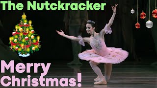 Dance of the Sugar Plum Fairy from The Nutcracker Mariinsky Ballet [upl. by Andi63]