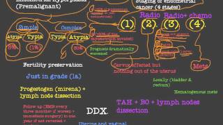 endometrial cancer 2 [upl. by Esela335]