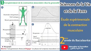 Etude expérimentale de la contraction musculaire 2Bac SVT2Bac Sc Phy [upl. by Jordan]