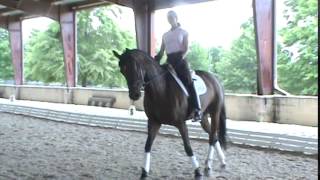 Dressage horse for sale  Flower Girl [upl. by Mehala]