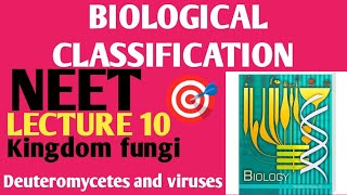 BIOLOGICAL CLASSIFICATION Lecture 10 Deuteromycetes and viruses NCERT 11 [upl. by Adneram]