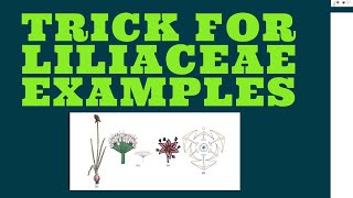 LILIACEAE EXAMPLES TRICK [upl. by Carmon]