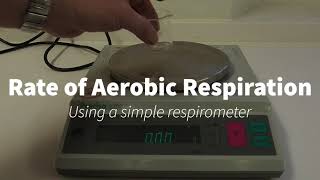 Simple Respirometer IGCSEA Level Biology [upl. by Nibroc73]