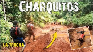 CHARQUITOS 🐖 🤯  LA TROCHA FRONTERIZA  XR650L  CRF250F  KLX300  XR250  XR400  WR450 [upl. by Lleznol]