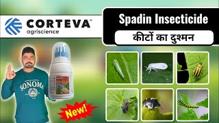 Spadin Insecticide । Corteva Spadin Insecticide ।Sulfoxaflor 11 4SC। FertiLizerExpertNitinDeol [upl. by Giuliana]