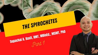 The Spirochetes [upl. by Boutis]