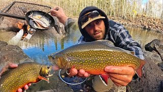 WILD TROUT Fishing at PRISTINE Mountain Lake Catch amp Cook [upl. by Duthie]