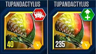 TUPANDACTYLUS VS TUPANDACTYLUS WITH BOSS VS BOSS  HT GAME [upl. by Dlopoel]