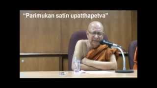 SATIPATTHANA  Ven Dr M Punnaji [upl. by Kiyoshi144]