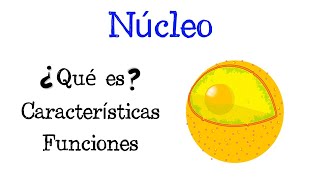 🌐 ¿Qué es el Núcleo 💥 Características y Funciones Fácil y Rápido  BIOLOGÍA [upl. by Llennej680]