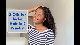 3 Oils to Get Thicker Hair Really Fast [upl. by Boigie]