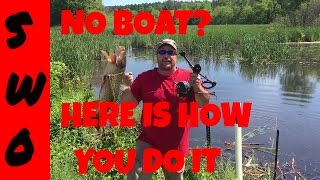 How to Bowfish From Shore [upl. by Assirral]