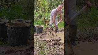 Topsoil Slop Puddle landscaping gardendesign permaculture mud motivation exercise ideas [upl. by Anaoy]