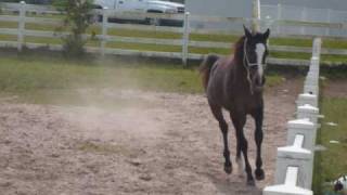 Safiyyah At 11 Months Old [upl. by Wolgast340]