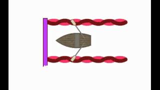 Actin and Myosin Action [upl. by Burke]