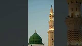 Taiba ka Safar Kaisa Lagega islamicmusic status madina islamicsong beautiful trending [upl. by Dez]