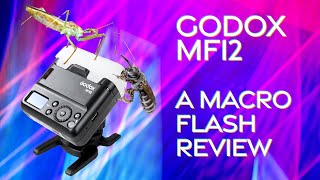 Godox MF12 Macro Flash Review  The best flash for macro work [upl. by Finkelstein]