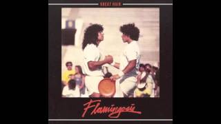 Flamingosis  Great Hair Full Album [upl. by Ynoffit]