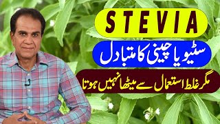 Stevia is a sugar substitute  Use the correct method  Dr Shahzad Basra [upl. by Ilamad]