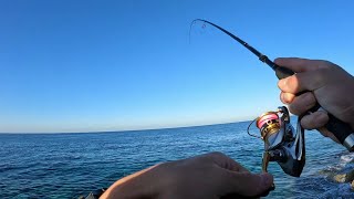 Epic LRF Fishing Catching a Feisty Garfish cyprus lrf zargana [upl. by Lemahs]